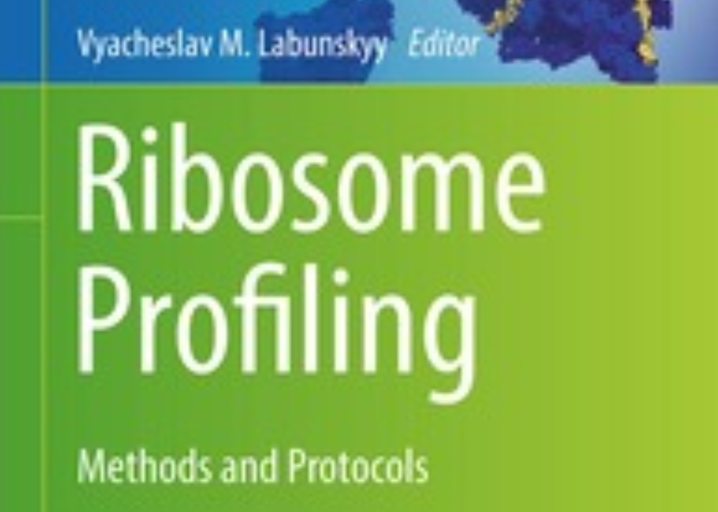 Methods: Ribosome Profiling - Immagina Biotech